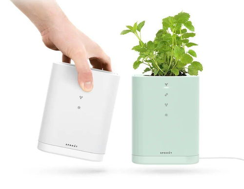 2020年設(shè)計(jì)流行話(huà)題 人與自然