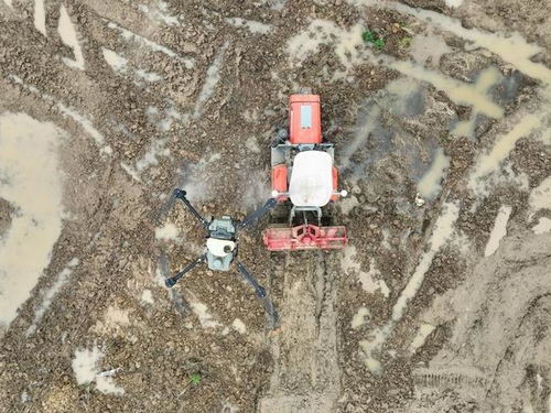 新時代中國調研行之看區(qū)域 中部篇 融媒一線 看,如此 接地氣 的科幻 農 景