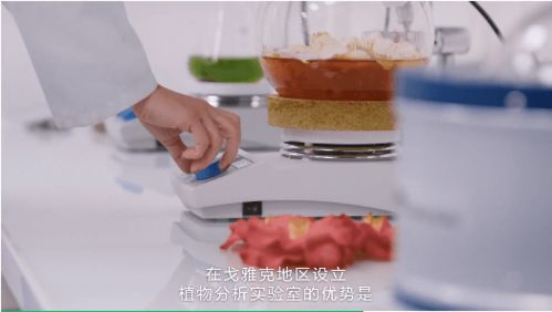 林清軒炮轟香奈兒,紅山茶花之爭究竟是 不正當(dāng)競爭 還是越級 碰瓷