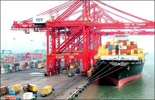 上海進(jìn)口預(yù)包裝食品要求 價格 68865521元 票